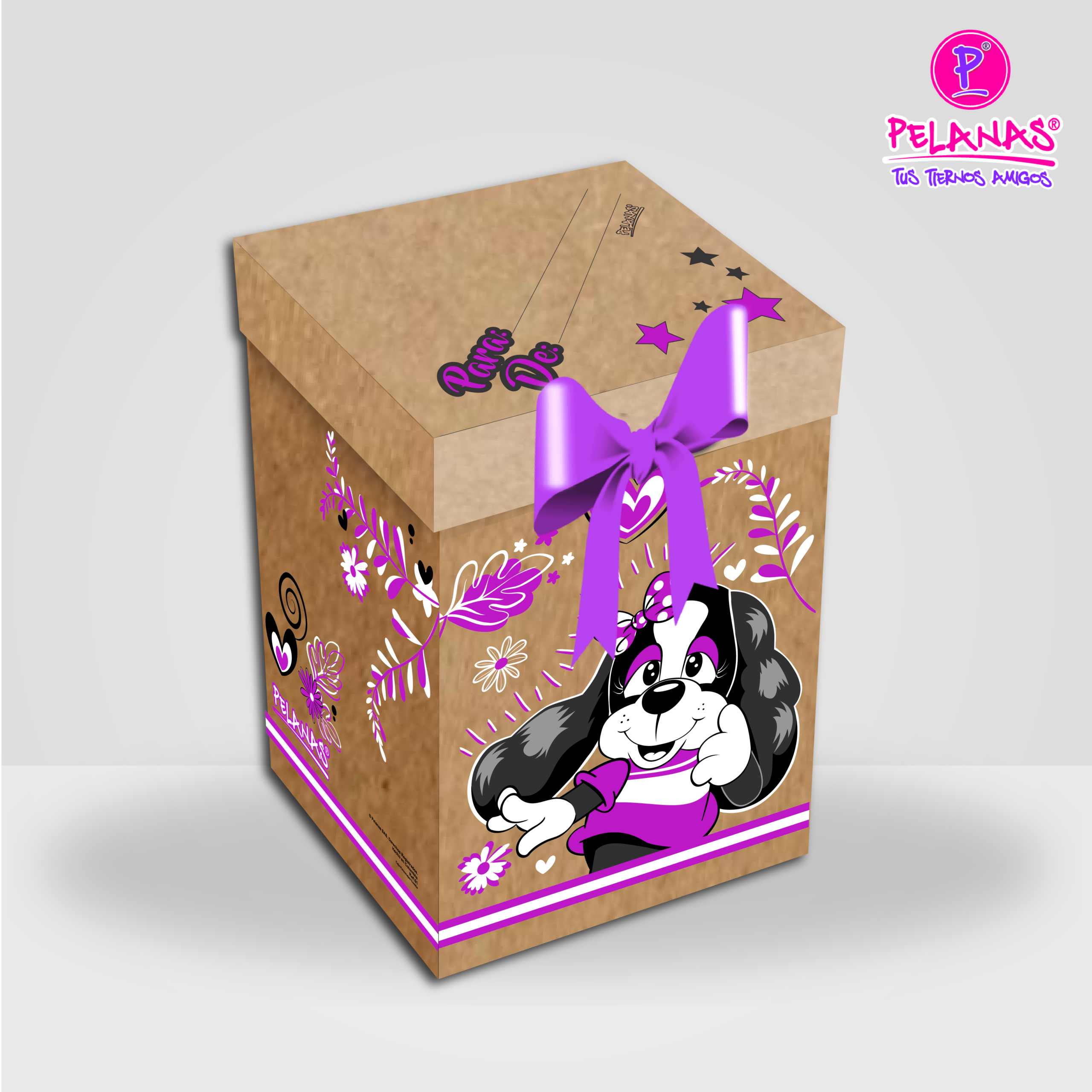 CAJA KRAFT GDE. COOKIE